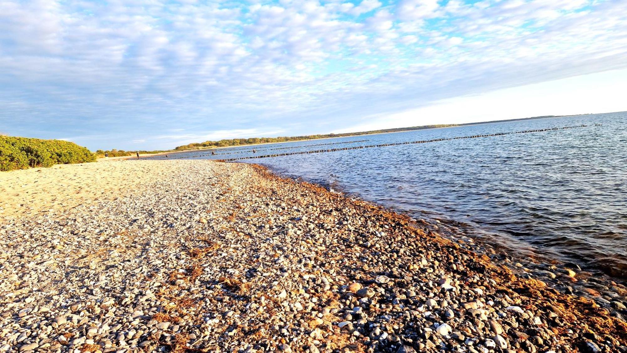 App 8O Grosser Tag Am Meer Mit Wasserblick Dranske Esterno foto