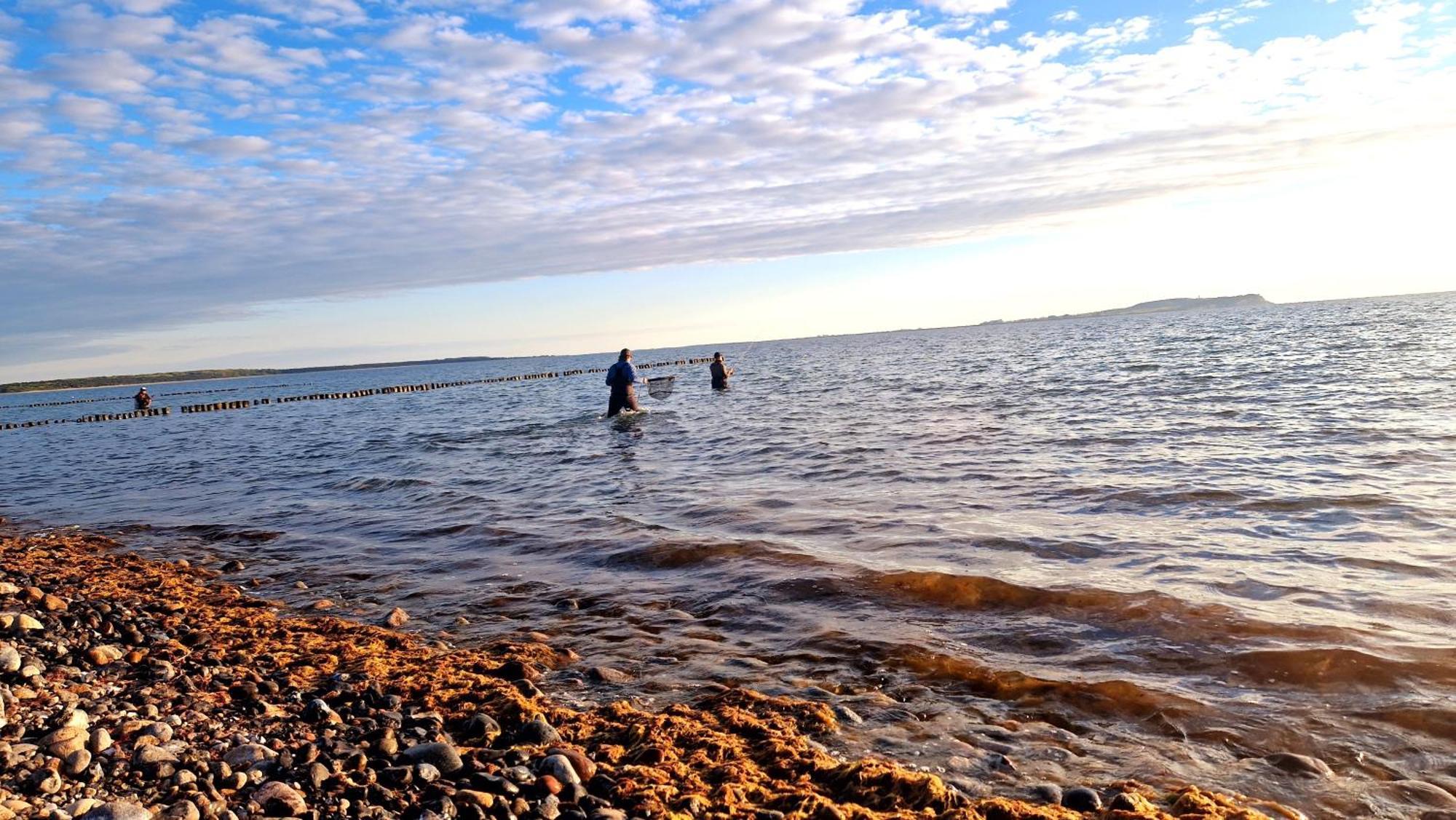App 8O Grosser Tag Am Meer Mit Wasserblick Dranske Esterno foto